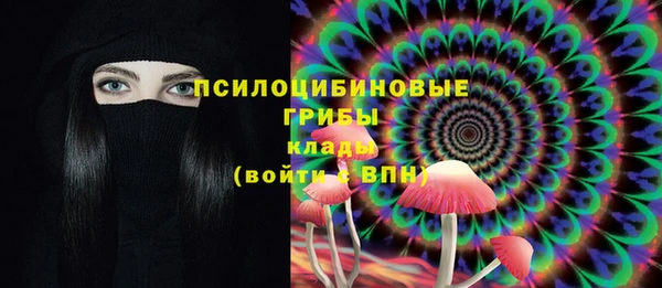 соль ск Балахна